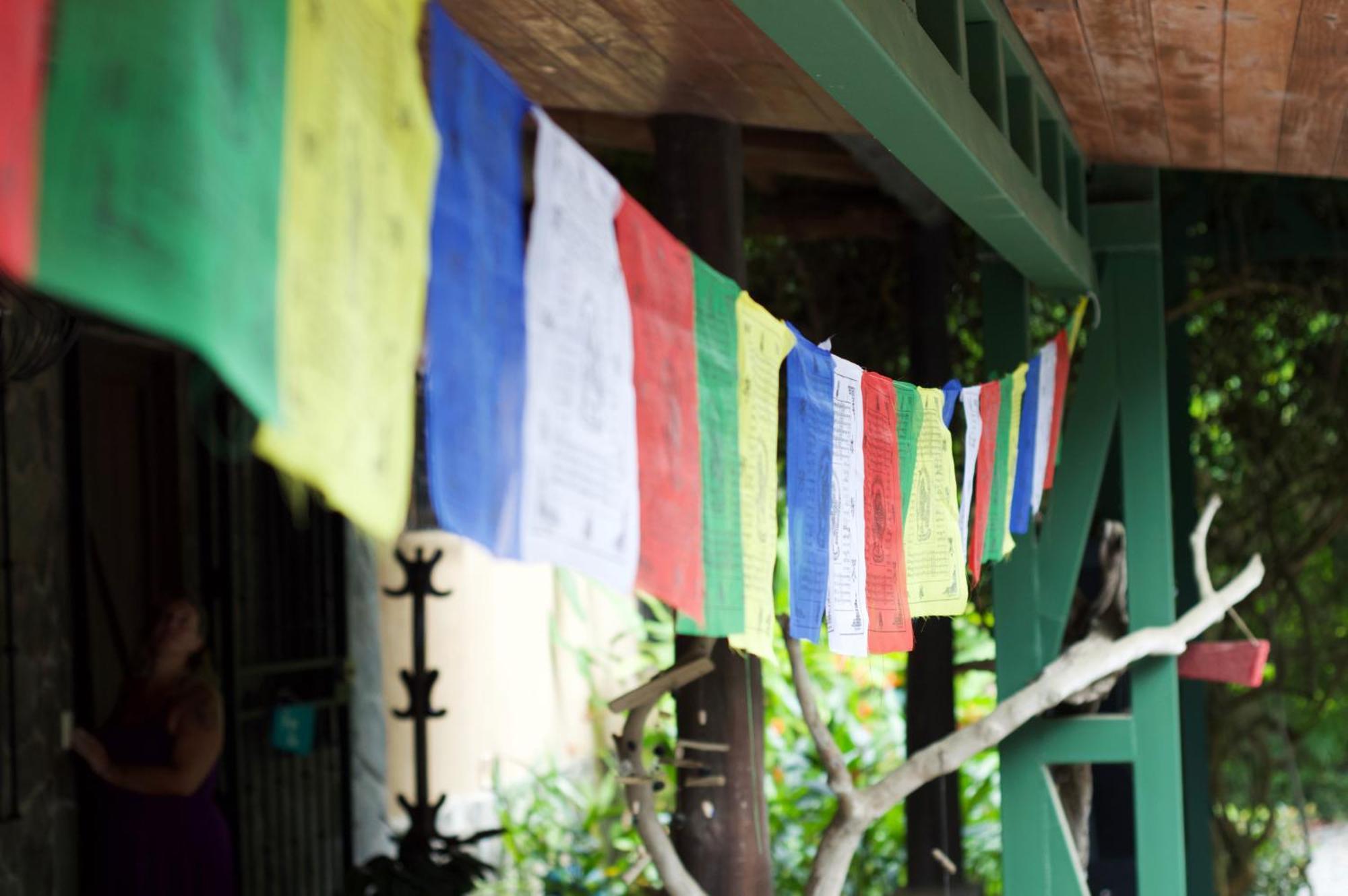 Soul Sync Sanctuary Formally Hacienda La Moringa Apartment Playa Hermosa  Exterior photo